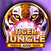 Lựa chọn cửa cược Baccarat dựa trên xác suất